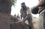 House building at Tongo